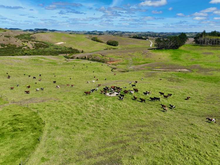 56 Lawrence Road Kaiwaka_6