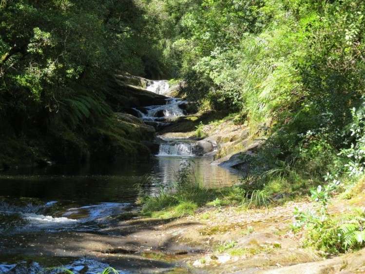 764 Work Road Whakamarama_8