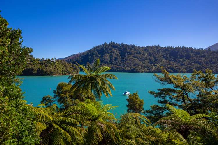 1777 Kenepuru Road Kenepuru Sound_15