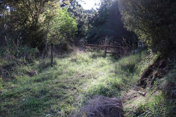 163 and 165 Tapu Coroglen Road Tapu_11