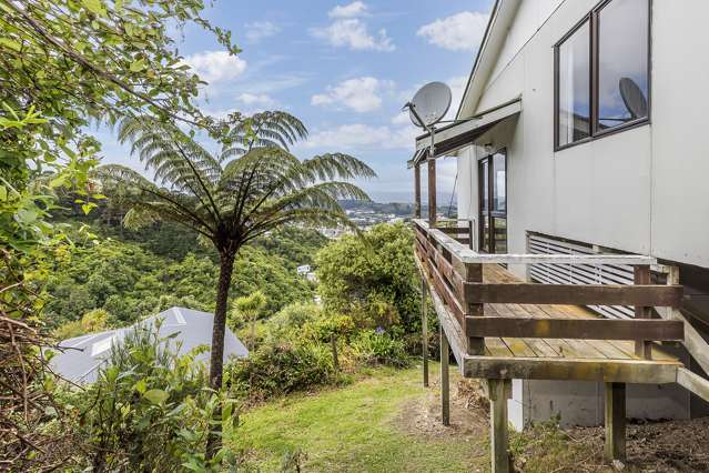 152 Raroa Road Aro Valley_1