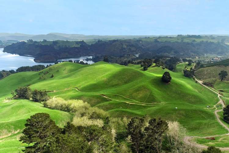 494B Dods Road Waikite Valley_28