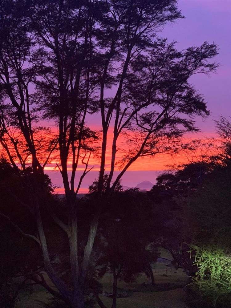 4 Kereru Lane Matata_23