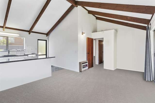 42e Jocelyn Street Te Puke_3