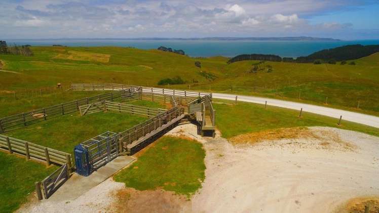 801 Burma Road Tapora_17