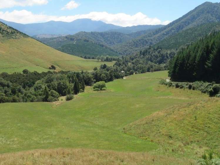 472 Maungatapu Road Rai Valley_13