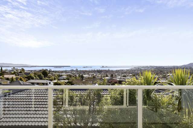 7 Lodestone Road Richmond_2