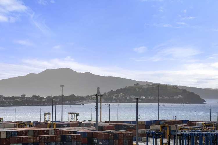 4e/15 Augustus Terrace Parnell_16