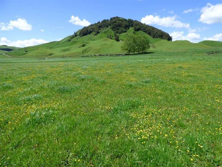 414 Kahuwera Road Te Kuiti_19