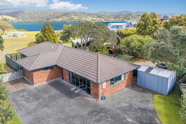 4 Ajax Head Pauanui_16