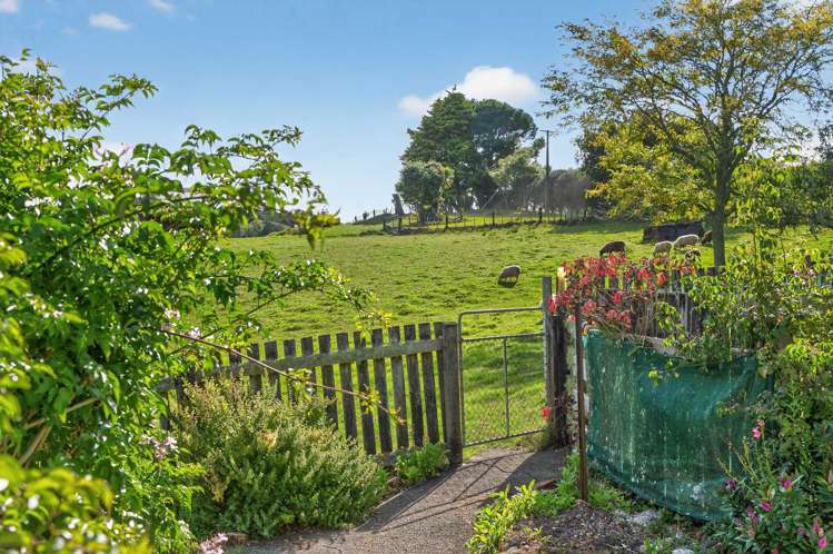 311 Franklin Road Paparoa_32