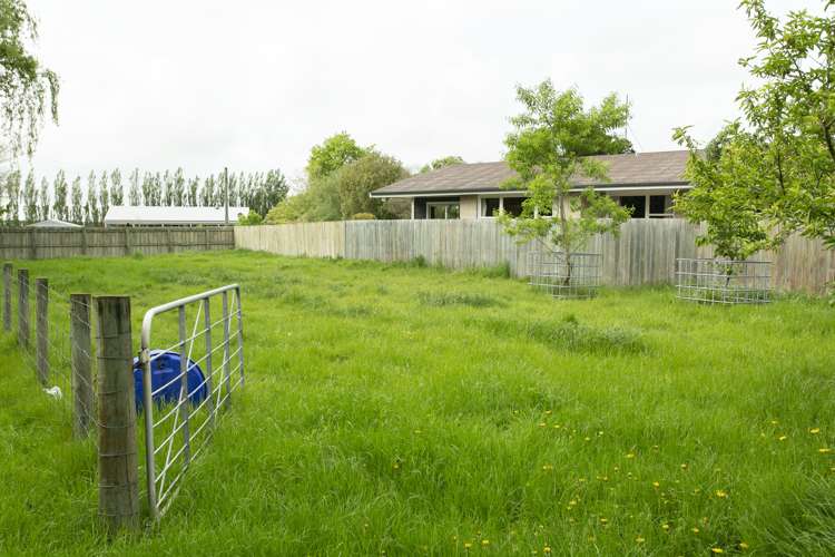 83 Peters Street Hinds_22