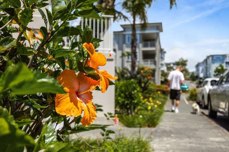 73 Parkside Drive Orewa_31