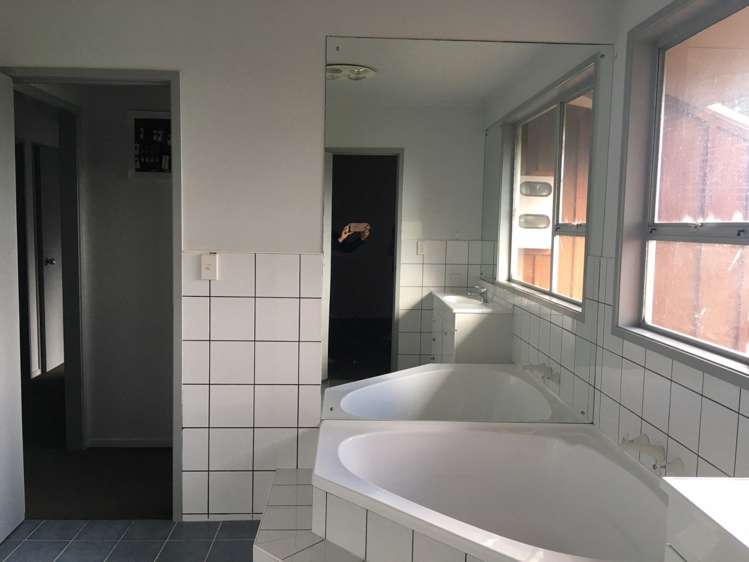 349 Postman Road Dairy Flat_11