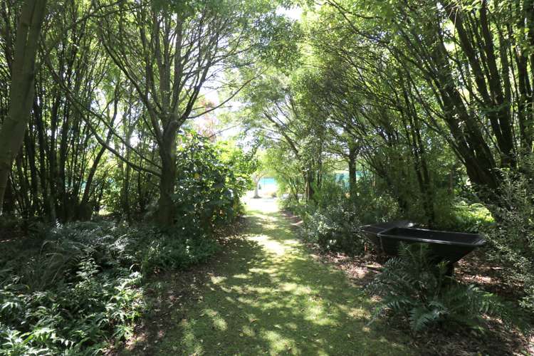 150 Otatara Road New River Ferry_28