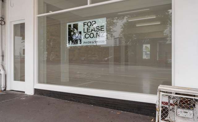 14 Ponsonby Road Ponsonby_4