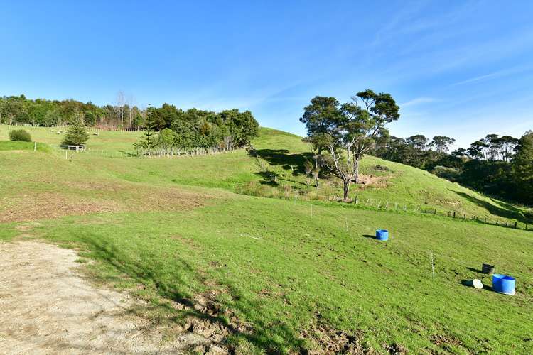 65c Manuka Grove Helensville_27