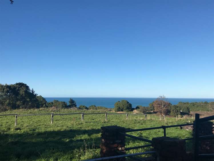 313 Green Island Bush Road Waldronville_19