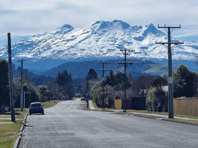 Address withheld Horopito_3