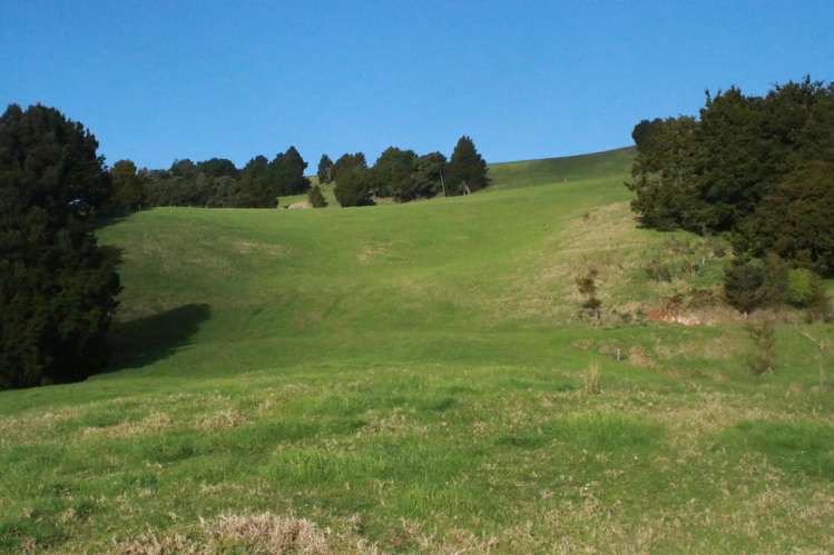 Lot 5 Pungaere Road Kerikeri_8