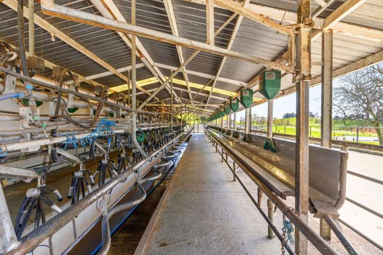58 Nicholson Road Piarere_8