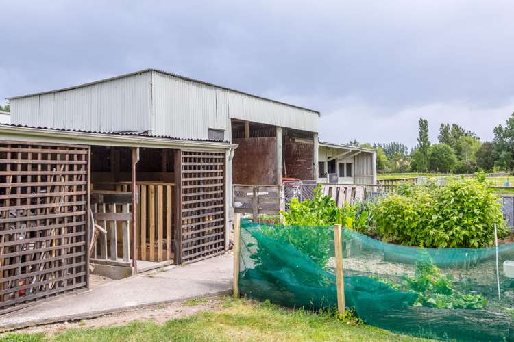 54 Nursery Road Masterton_20