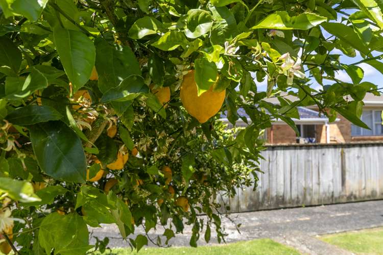 13 Harlock Place Huntly_21