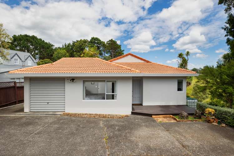 46C Fairlands Avenue Waterview_21