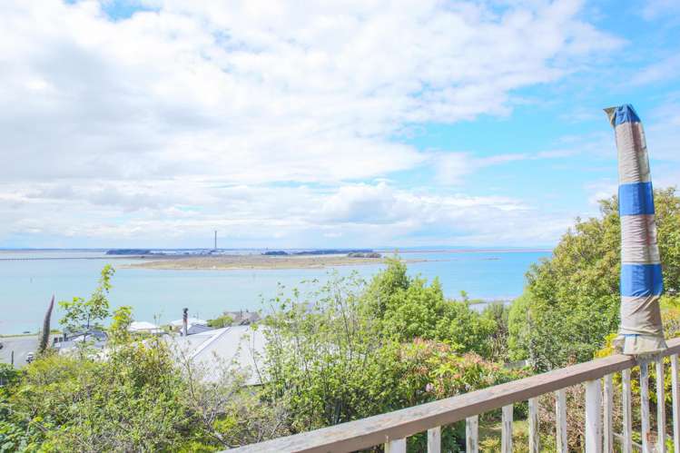 46 Walker Street Bluff_18