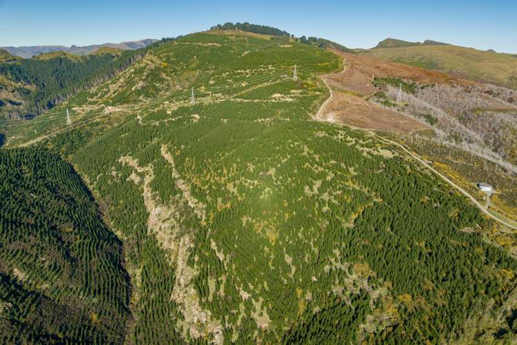 361 Worsleys Road Cashmere_17