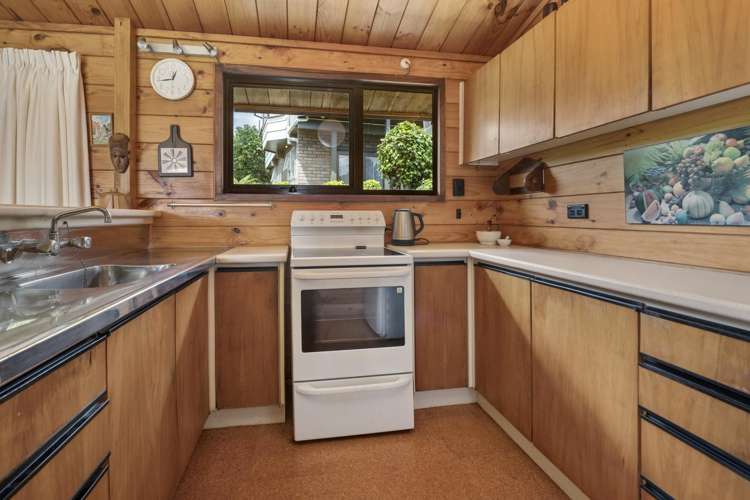 64 Utuhina Road Springfield_1