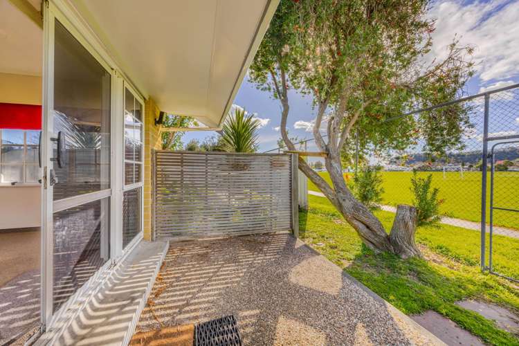 29A Tom Parker Avenue Marewa_13