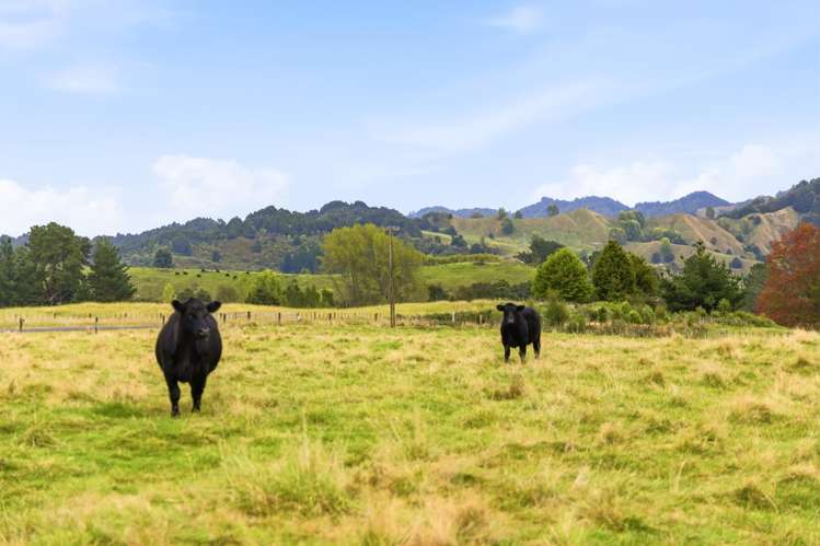 185 Taringamotu Road Taumarunui_25