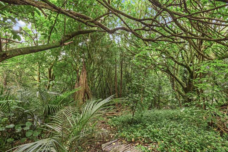 28 Upper Wainui Road Raglan_23