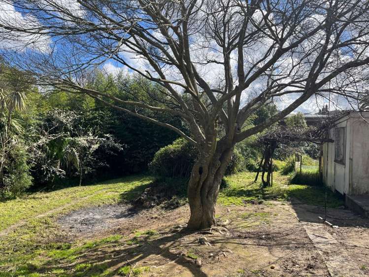 30 Consols Street Waihi_9