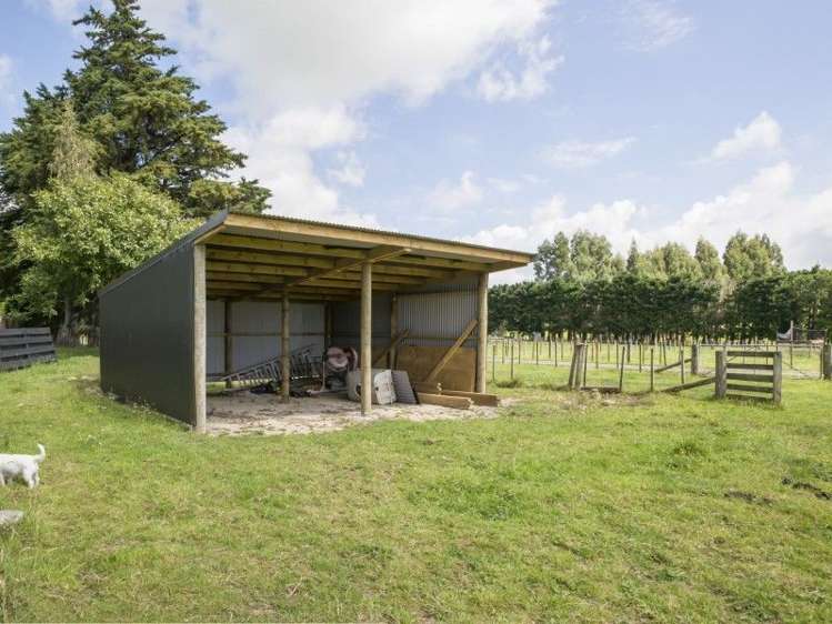 82 Victoria Avenue Dannevirke_30