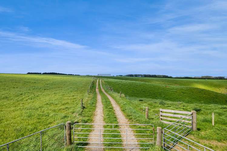 0n Mountain Road Normanby_19