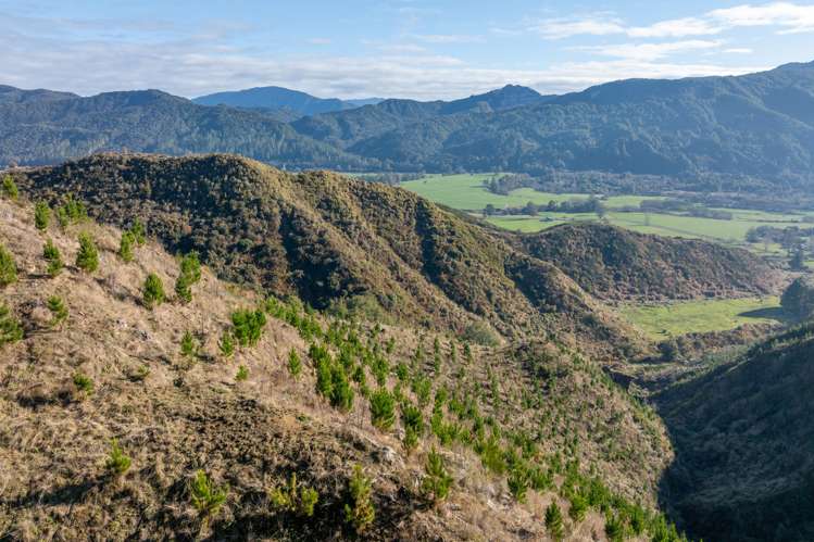 Matakitaki Road Murchison_13