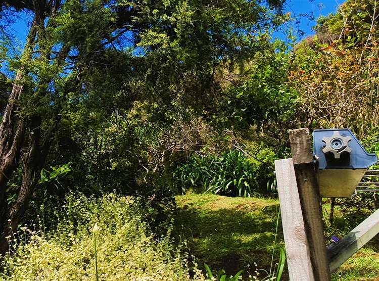 260 Wyuna Bay Road Coromandel_21