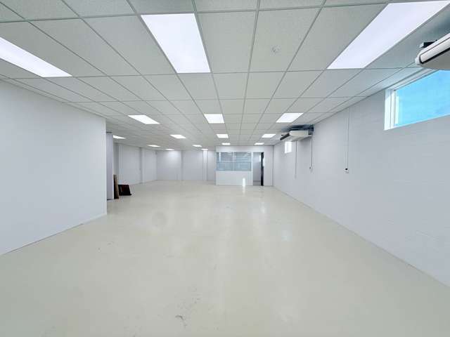 4 Minnie Street Eden Terrace_2