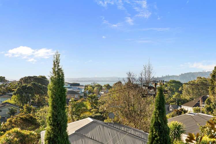 3 Livingstone Street Westmere_10