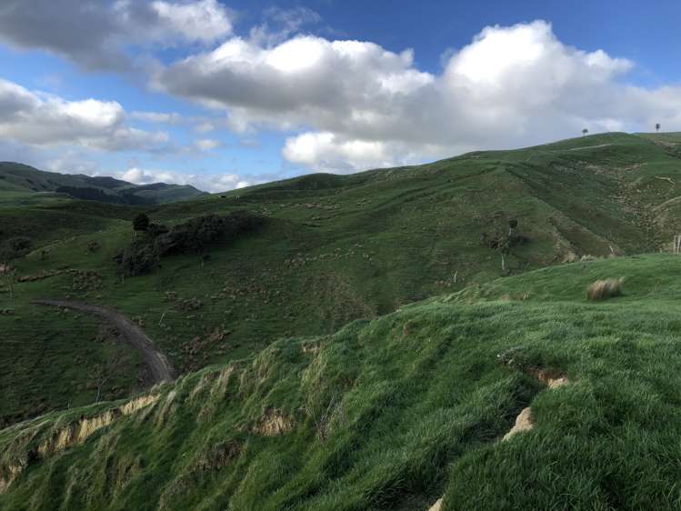 337 Saunders Road Eketahuna_12