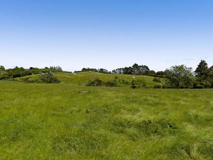 Lot 1 Mangorei Road Mangorei_8