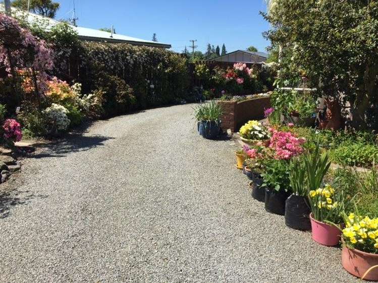 71 Peel Street Geraldine_12