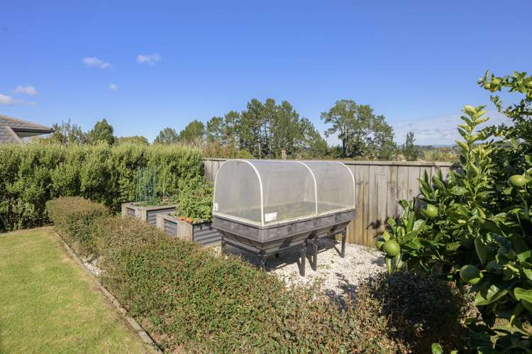 3 Norwich Place Bethlehem_21