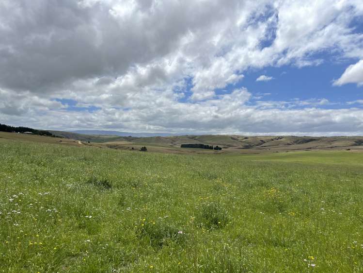 968 Wallaces Ford Road Hindon_8