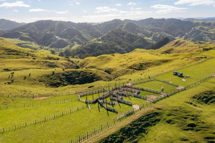 231 Leitch Road Piopio_9