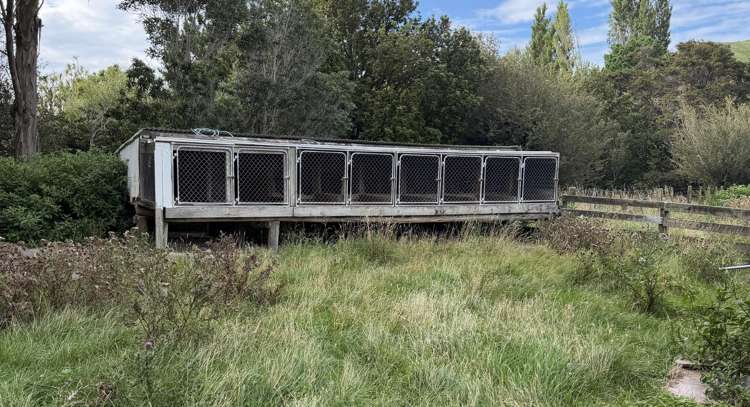 401 Herbertville Road Herbertville_18