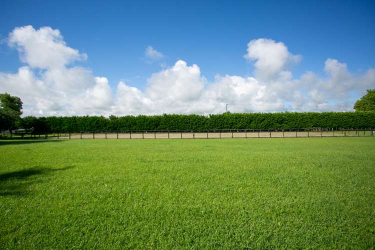 1/31 Forrest Road Cambridge_8