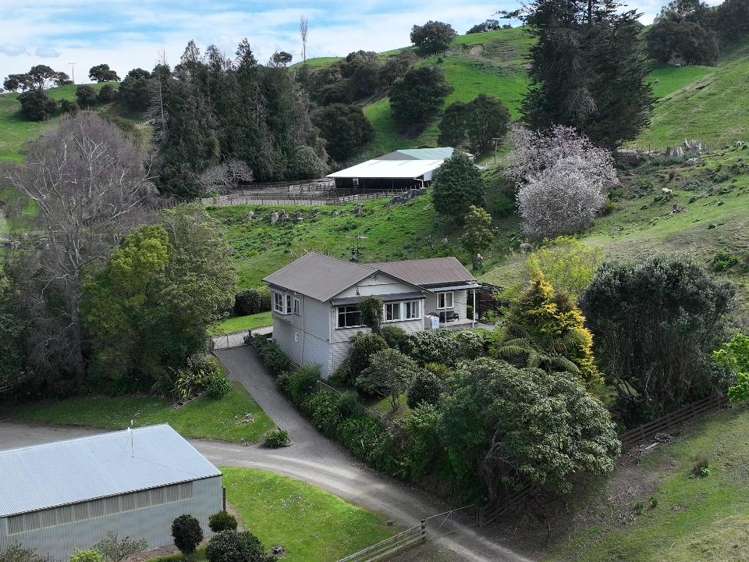 2829 Puketitiri Road Patoka_2